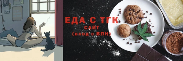 дживик Ельня