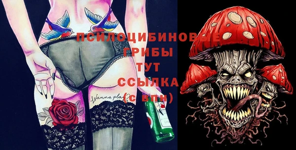 хмурый Алексеевка