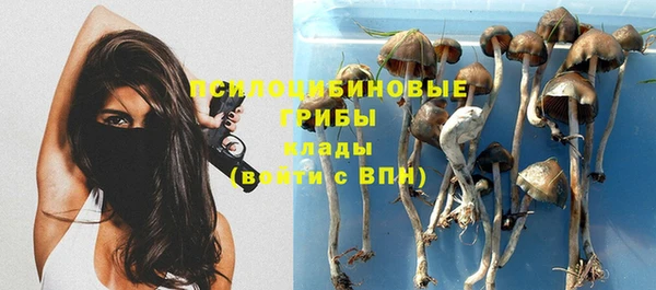 эйфоретик Армянск
