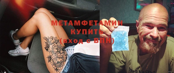 дживик Ельня